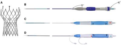 Transcatheter aortic valve replacement with the VenusA-Pro and VenusA-Plus systems: preliminary experience in China